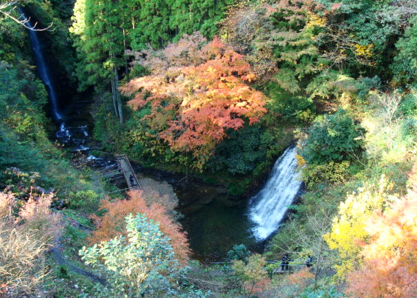 養老渓谷 小沢又の滝（幻の滝）
