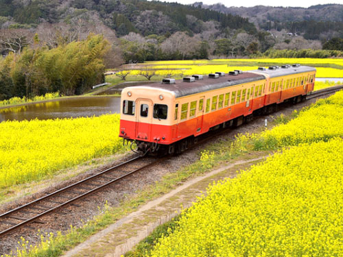 小湊（こみなと）鉄道