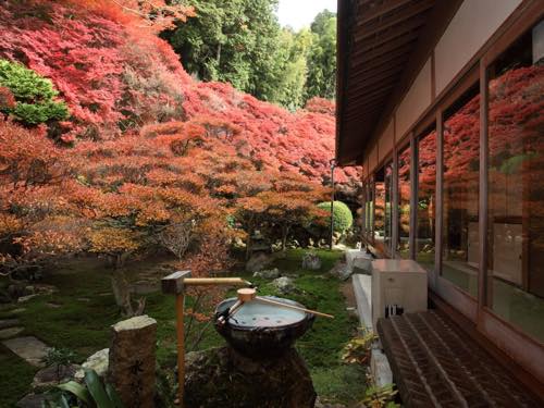 大龍寺