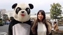 第3弾『ラッキーパンダとみさきが行く！モンステラ整体院ver.』