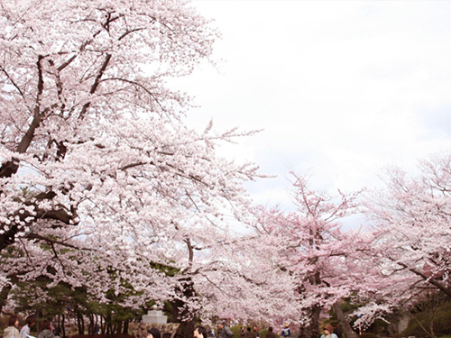 水沢公園