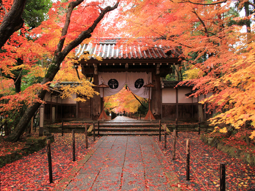 光明寺 / 長岡京市