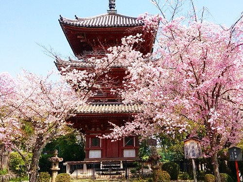 宝積寺（ほうしゃくじ）