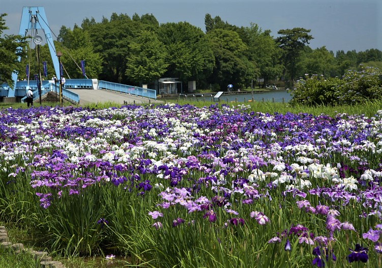 水元公園