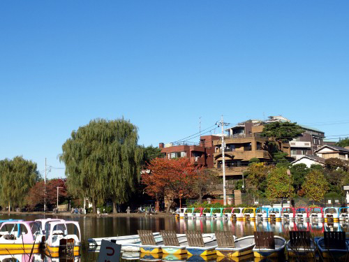 石神井公園 その4石神井公園