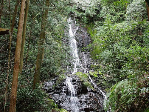 錦鶏の滝