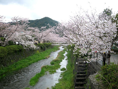 山口市後河原